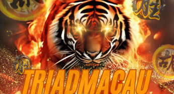TRIADMACAU : SITUS PENYEDIA BERTARUH SABUNG AYAM ONLINE RESMI