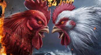 TORPEDO4D : LOGIN AGEN HIBURAN SABUNG AYAM POPULER 2025