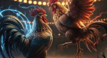 TRIAD4D : AKSES BEBAS BLOKIR SITUS LIVE SABUNG AYAM TERBAIK